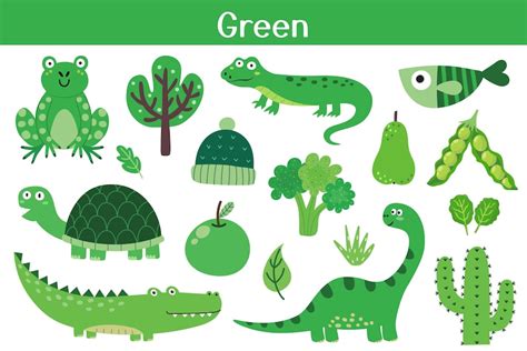 conjunto de objetos de color verde colores de aprendizaje  ninos
