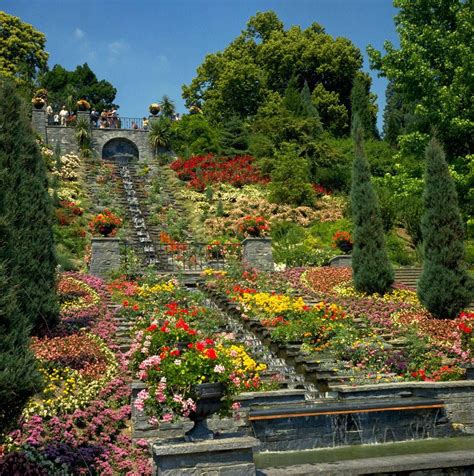 flower island  mainau  lake constance   cover  hectares  land    home