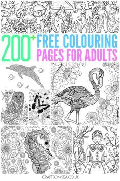 coloring pages  adults ideas adult coloring pages