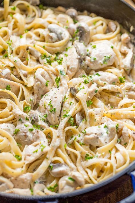 creamy chicken alfredo recipe ideas  recipes