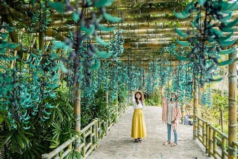 southeast botanical gardens okinawa city 2018 alles wat u moet