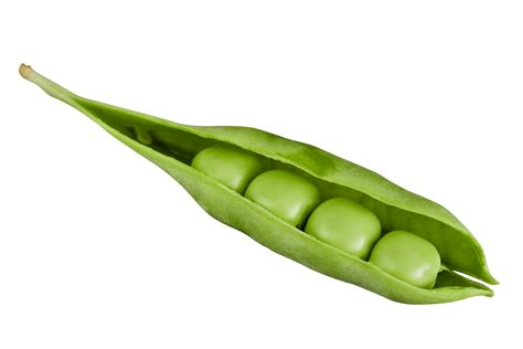 fresh green peas  png