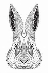 Zentangle Stylized Coniglio Easter Capo Stilizzato Tiere Freehand Hase sketch template