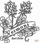 Vermont Coloring Flowers Pages State Printable Map Drawing Bird Clipart Supercoloring Categories sketch template