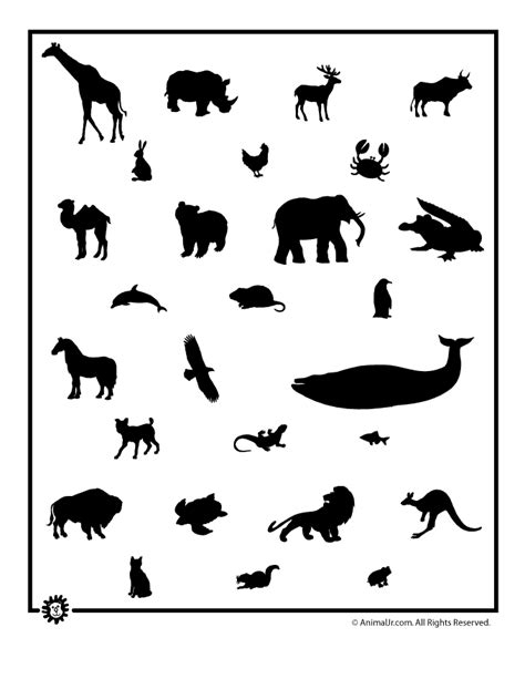 animal templates