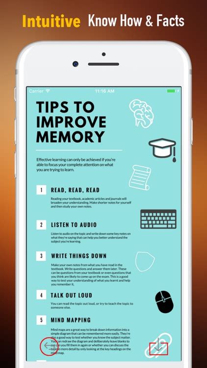 improve  memory mnemonics guide  tips  whaleparadise labs