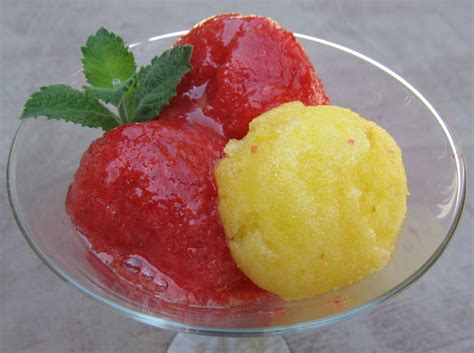 foodie family   sorbet recipe youll