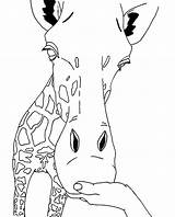 Giraffe Coloring Pages Printable Face Kids Animal Head Outline Animals Sheets Giraff Giraffes Drawings Cute Cliparts Clipart Cartoon Print Line sketch template