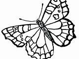 Coloring Monarch Cycle Life Getdrawings Butterfly Getcolorings sketch template