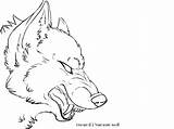 Wolf Snarling Drawing Lineart Growling Deviantart Getdrawings Drawings Link sketch template