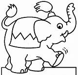 Elefante Circo Elefantes Niños Mamíferos Mamiferos Desenhar Fofo Vamos Atividades Exercícios sketch template