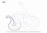 Draw Adder Step Outline Drawing Rest Body Reptiles Tutorials sketch template