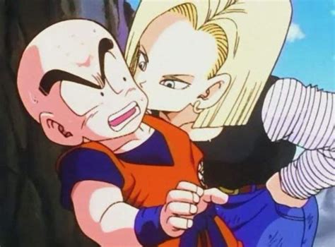 Dbz Couple Battle Anime Amino