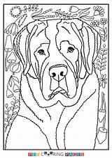 Coloring Bernard Pages Saint St Collie Printable Border Getdrawings Dog Getcolorings Color Drawing Template Pinu Zdroj Colorbook sketch template