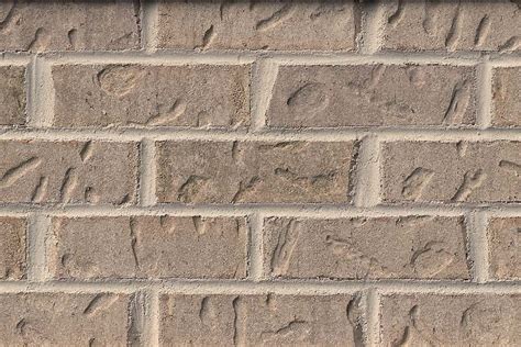 brick  series henry brick brick  builds hardwood floors
