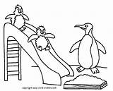 Coloring Pages Easy Toddlers Penguin Popular sketch template