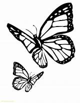 Butterfly Coloring Pages Butterflies Drawing Monarch Tattoo Flying Drawings Stencil Side Designs Outline Clipart Realistic Stencils Printable Vector Getdrawings Tattoos sketch template