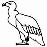 Condor Buitre Vulture Colorear Scavenger Vultures Outlines Pinclipart Ultracoloringpages Nacho Bocetos Coloringbay Clipartmag Getdrawings Jisun Park sketch template