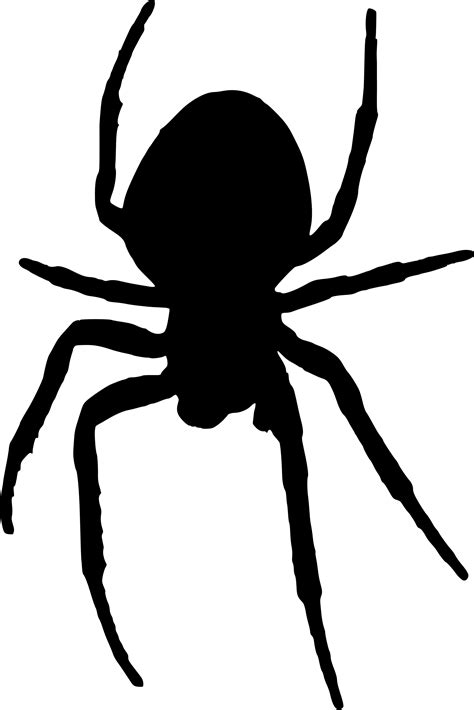 spider silhouette png clipart