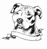 Pitbull Chien Sketch Pitbulls Stencils Disegni Golfian Stencil Cani Tatuaggi Ouvrir Publicada sketch template