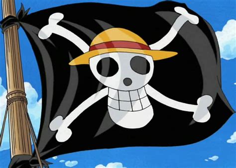 straw hat piratesmiscellaneous  piece wiki fandom powered  wikia