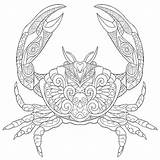 Coloring Pages Sea Life Animals Adults Ocean Marine Getdrawings sketch template