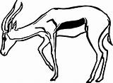 Antelope Coloring Drawing Pages Animal Getdrawings Getcolorings Color Printable sketch template