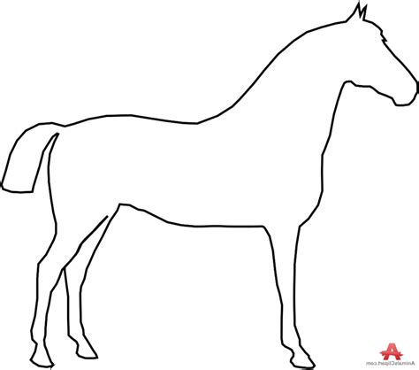 pictures  horse drawings    clipartmag