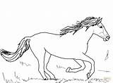 Mustang Horse Coloring Pages Horses Wild Running Color Print Beautiful Drawing Pinto Getdrawings sketch template