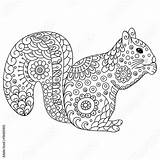 Zentangle Squirrel Stylized Scoiattolo Antistress Vettoriale Stampa Schizzo Stilizzato Animale Tatuaggio Adulti Disegnata Scarabocchio Adulta sketch template