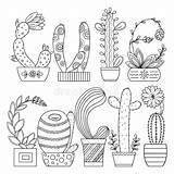 Cactus Contour Linear Scribble Sveglio Coloritura Lineare Vettore Colorare Immag sketch template