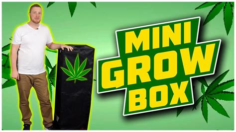 mini cannabis grow box  harvest  weedpics thcscoutcom