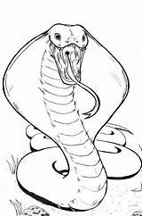 Cobra Hissing Dibujo Serpent Coloriage Clip Tatuaje Kidsplaycolor Serpiente sketch template