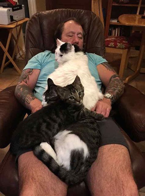 adorable   cat dads   kitties funny cat pictures