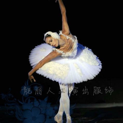 Ballet Costume Adult Ballet Gauze Dress Black White Swan