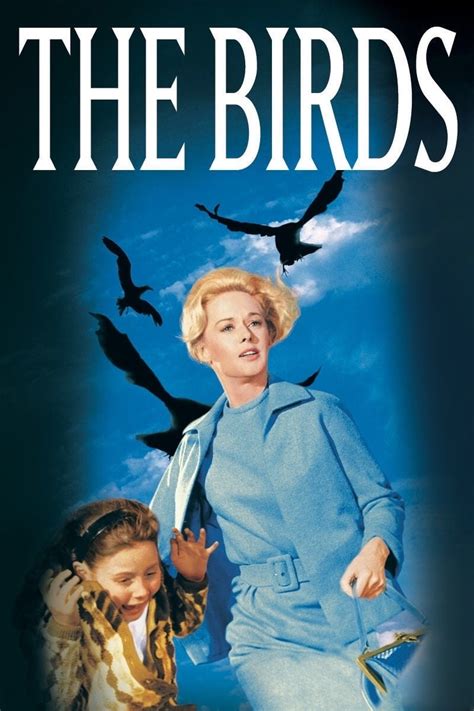 birds  posters