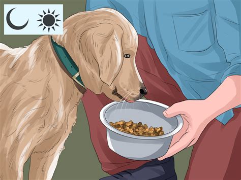 good pet owner  steps  pictures wikihow