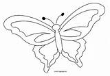 Outline Butterfly Coloring Getdrawings Colouring Getcolorings sketch template