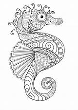 Mindfulness Colouring Mandala Coloring Pages Seahorse Boys sketch template