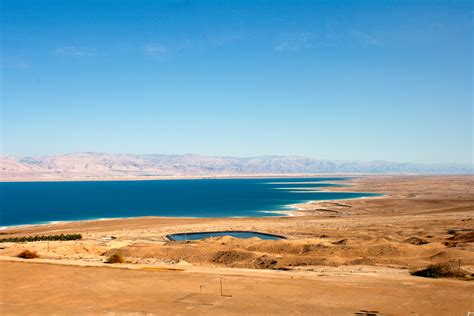 facts   dead sea   dying  roselinde