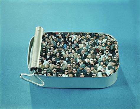 packed  sardines photograph   armstrong roberts pixels