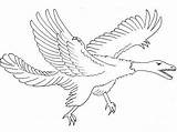 Archaeopteryx Chasing Ornitholestes Dinosaurus sketch template