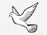 Clipart Paloma Para Dibujar Dove Bird Lapiz Holy Spirit Descending Peaceful Peace Transparent Cliparts sketch template