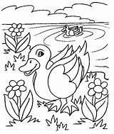 Patinhos Banho Tomando Colorir Para Visitar Desenhos Duck Coloring Desenho Pages sketch template
