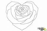 Heart Draw Rose Drawing Flower Drawings Step Coloring Drawingnow Print Paintingvalley Cliparting sketch template