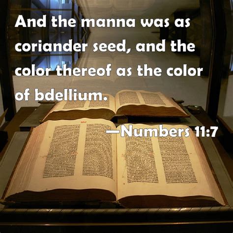 numbers    manna   coriander seed   color thereof