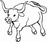 Bull Coloring Pages Supercoloring Para sketch template