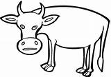 Vaca Kuh Kolorowanka Krowa Kolorowanki Ausmalbild Krowy Mucca Druku Stampare sketch template