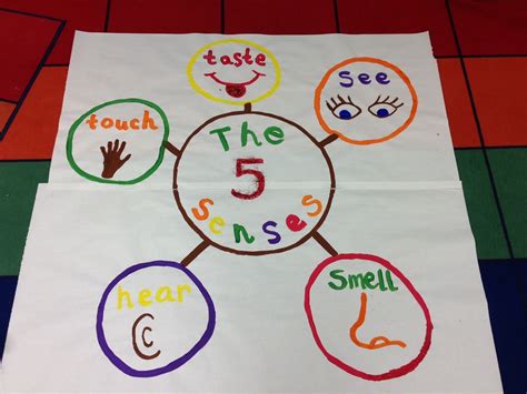 senses poster kindergarten smarts senses preschool  senses craft