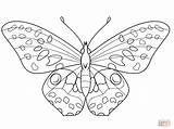 Coloring Butterfly Pages Ausmalbilder Zum Ausdrucken sketch template